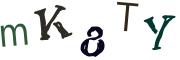 圖片的 CAPTCHA