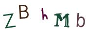 圖片的 CAPTCHA