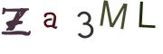 圖片的 CAPTCHA