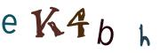 圖片的 CAPTCHA