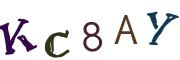 圖片的 CAPTCHA