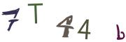 圖片的 CAPTCHA
