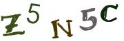 圖片的 CAPTCHA