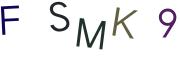 圖片的 CAPTCHA