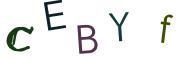 圖片的 CAPTCHA