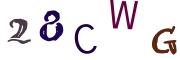 圖片的 CAPTCHA