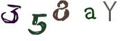 圖片的 CAPTCHA