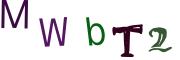 圖片的 CAPTCHA
