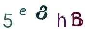 圖片的 CAPTCHA