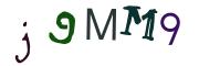 圖片的 CAPTCHA