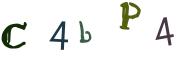圖片的 CAPTCHA