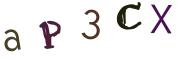 圖片的 CAPTCHA