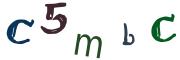 圖片的 CAPTCHA