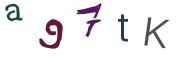 圖片的 CAPTCHA