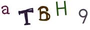 圖片的 CAPTCHA