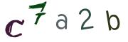 圖片的 CAPTCHA