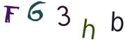 圖片的 CAPTCHA