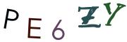 圖片的 CAPTCHA