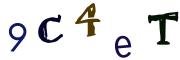 圖片的 CAPTCHA