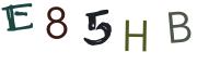 圖片的 CAPTCHA
