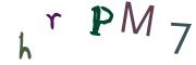 圖片的 CAPTCHA