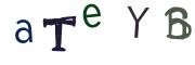 圖片的 CAPTCHA