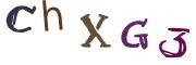 圖片的 CAPTCHA