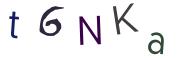 圖片的 CAPTCHA
