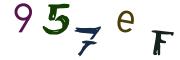 圖片的 CAPTCHA