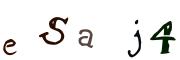 圖片的 CAPTCHA