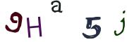 圖片的 CAPTCHA