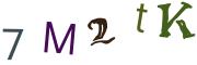 圖片的 CAPTCHA