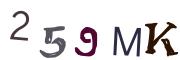 圖片的 CAPTCHA