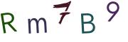 圖片的 CAPTCHA