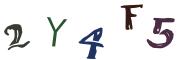 圖片的 CAPTCHA