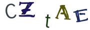 圖片的 CAPTCHA