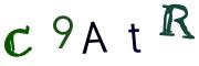 圖片的 CAPTCHA