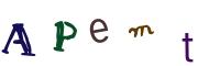 圖片的 CAPTCHA