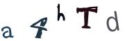 圖片的 CAPTCHA