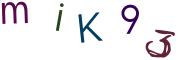 圖片的 CAPTCHA