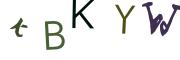 圖片的 CAPTCHA