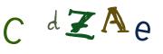 圖片的 CAPTCHA