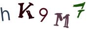 圖片的 CAPTCHA