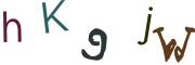 圖片的 CAPTCHA