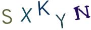 圖片的 CAPTCHA