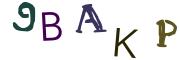 圖片的 CAPTCHA