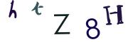圖片的 CAPTCHA