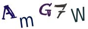 圖片的 CAPTCHA