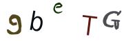 圖片的 CAPTCHA