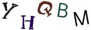 圖片的 CAPTCHA